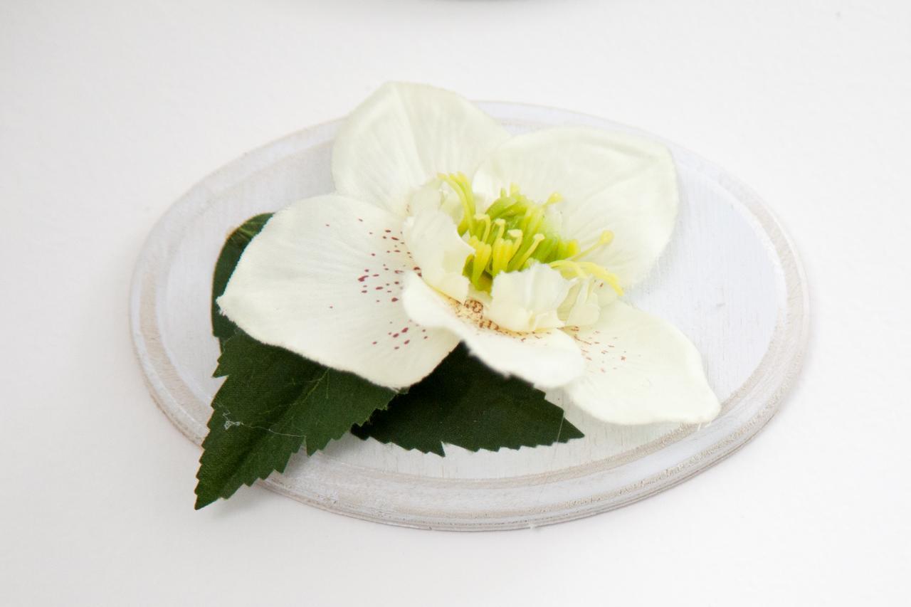 B&B Rosaly 圣卡塔尔多 外观 照片